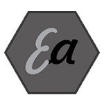 External Audit